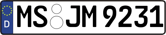 MS-JM9231