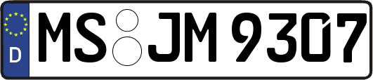 MS-JM9307
