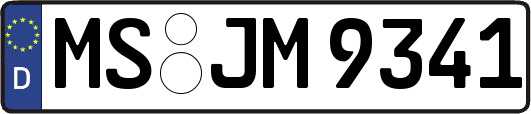 MS-JM9341