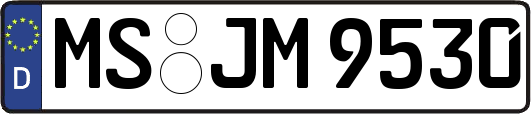 MS-JM9530
