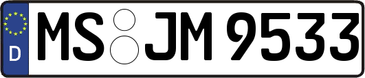 MS-JM9533