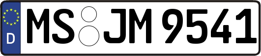 MS-JM9541