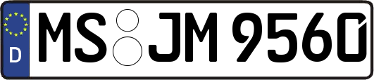 MS-JM9560