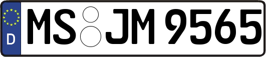 MS-JM9565