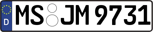 MS-JM9731