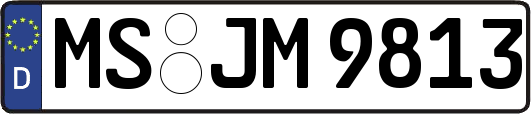 MS-JM9813