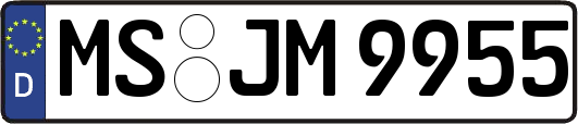 MS-JM9955