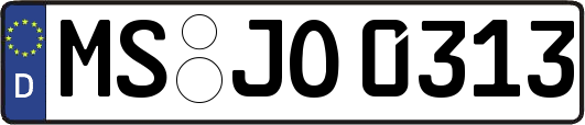 MS-JO0313