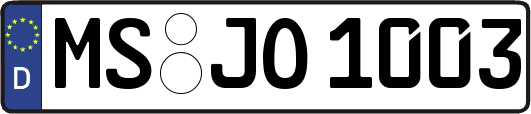 MS-JO1003