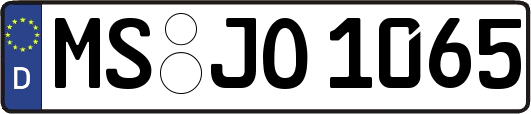 MS-JO1065