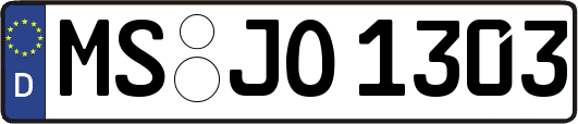 MS-JO1303