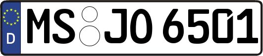 MS-JO6501