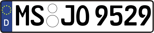MS-JO9529