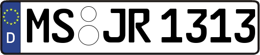 MS-JR1313