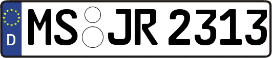 MS-JR2313