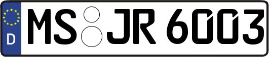 MS-JR6003