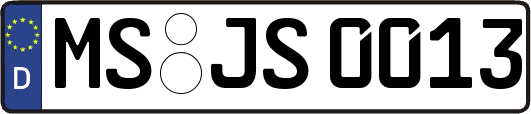 MS-JS0013