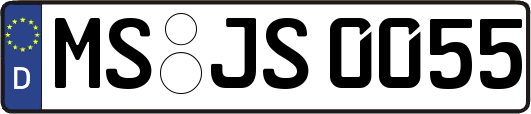 MS-JS0055