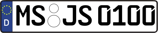 MS-JS0100