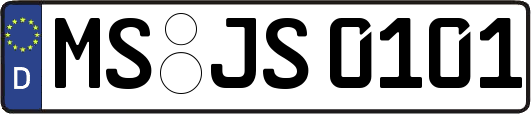 MS-JS0101