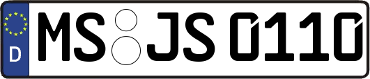 MS-JS0110
