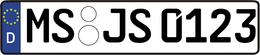 MS-JS0123