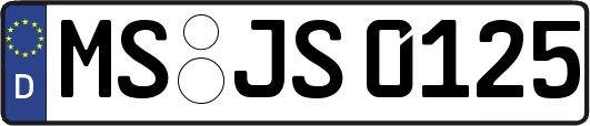 MS-JS0125