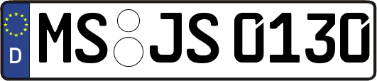 MS-JS0130