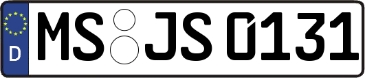 MS-JS0131