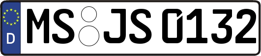 MS-JS0132
