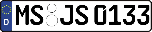 MS-JS0133