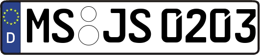 MS-JS0203