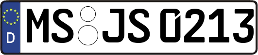 MS-JS0213