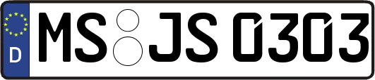 MS-JS0303