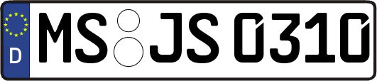 MS-JS0310
