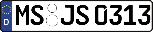 MS-JS0313
