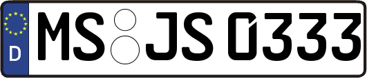 MS-JS0333