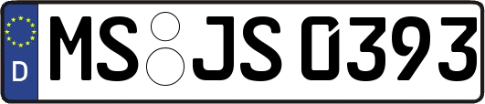 MS-JS0393