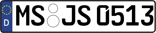 MS-JS0513