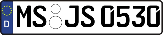 MS-JS0530