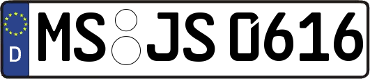 MS-JS0616