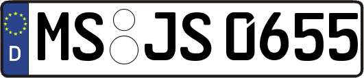 MS-JS0655