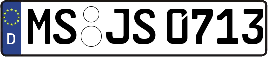 MS-JS0713