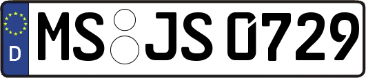 MS-JS0729