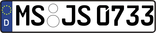 MS-JS0733