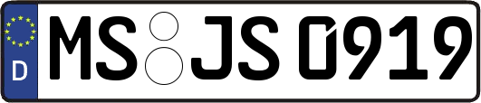 MS-JS0919