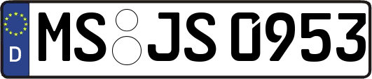 MS-JS0953