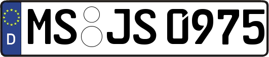 MS-JS0975