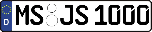 MS-JS1000