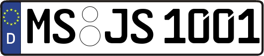 MS-JS1001
